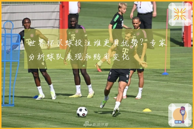 世界杯买球投注谁更具优势？专家分析球队表现和赔率变化