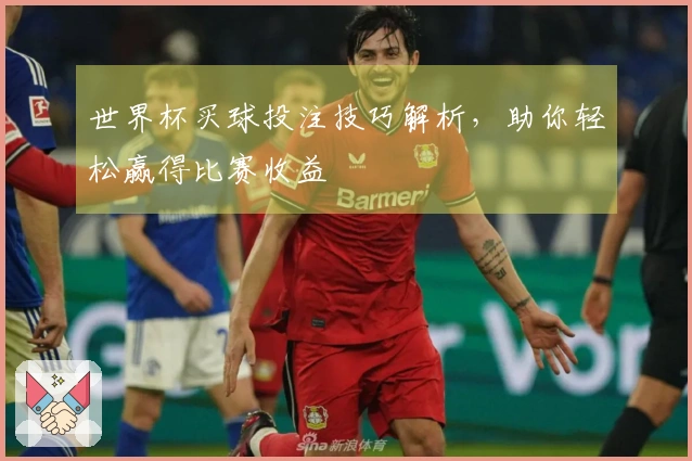 世界杯买球投注技巧解析，助你轻松赢得比赛收益