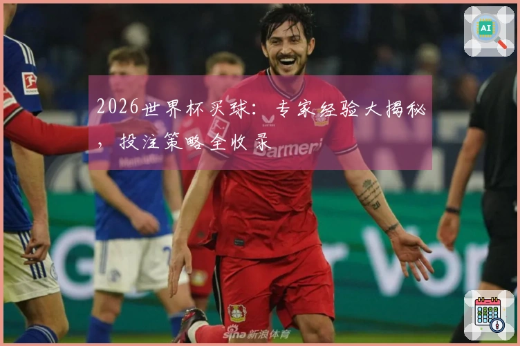 2026世界杯买球：专家经验大揭秘，投注策略全收录