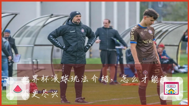 世界杯滚球玩法介绍，怎么才能玩得更尽兴