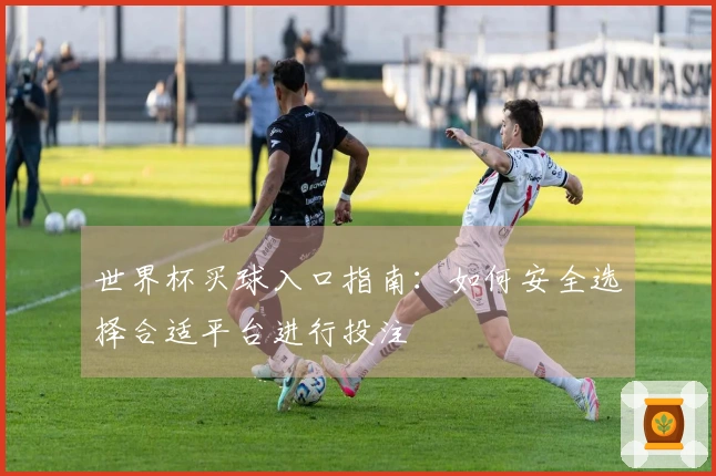 世界杯买球入口指南：如何安全选择合适平台进行投注