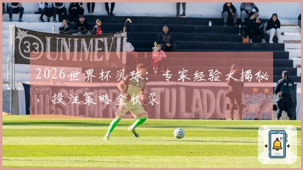 2026世界杯买球：专家经验大揭秘，投注策略全收录