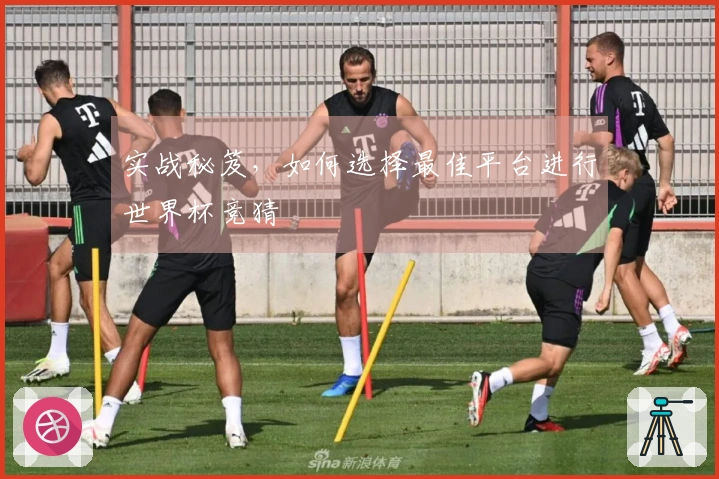 实战秘笈，如何选择最佳平台进行世界杯竞猜